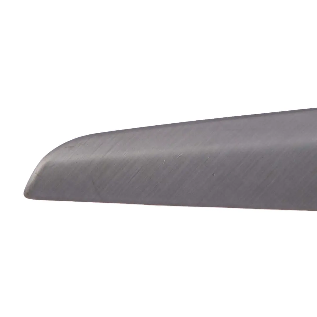 BMW X1 E84 Decor Strip Trim Cover Panel Left N/S Door Honed Aluminium - SKU 8049411 - Part number 8049411