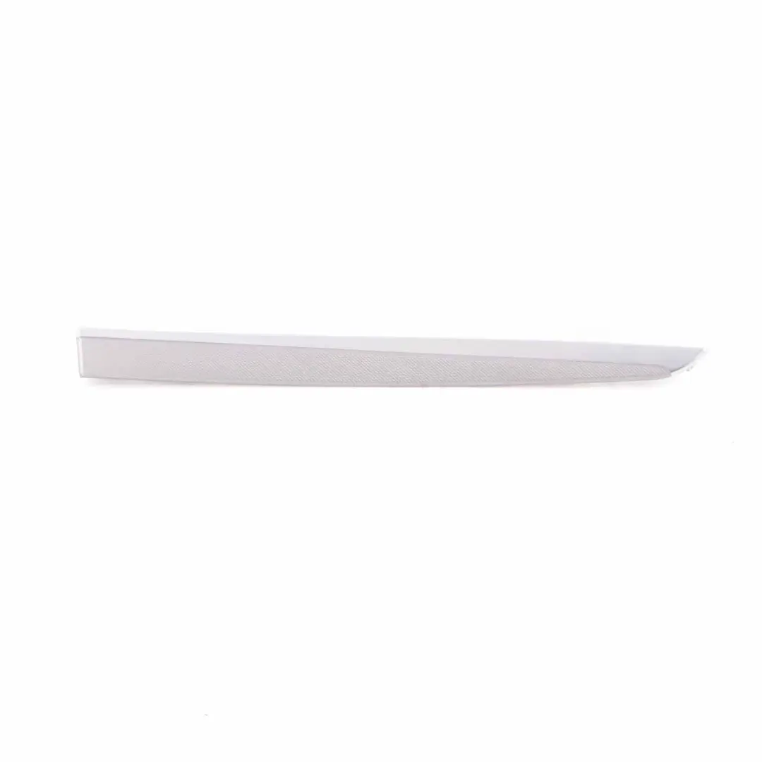  Door Strip BMW F10 F11 Trim Decor Cover Rear Left N/S Aluminum Hexagon - SKU 8050165 - Part number 8050165