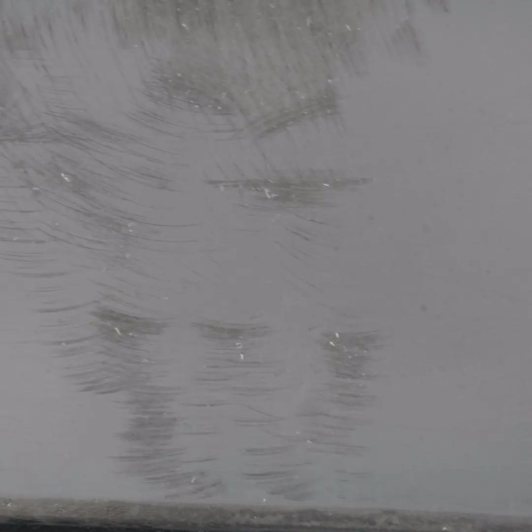 Complete Rear Bumper Trim Panel PDC Black Sapphire Metallic to BMW 3 Series F80 M3 with Part number 8055991 BMW 3 Series F80 M3 Complete Rear Bumper Trim Panel PDC Black Sapphire Metallic - SKU 8055991-BS - Part number 8055991