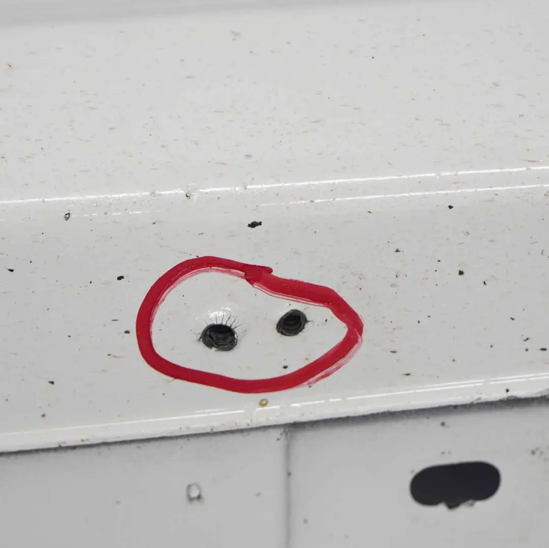 bande de recouvrement de seuil de porte droite blanc alpin - 300 pour BMW F20 M Sport à propos du numéro de pièce 8056816 BMW F20 M Sport bande de recouvrement de seuil de porte droite blanc alpin - 300 - SKU 8056816-AW - Numéro de pièce 8056816