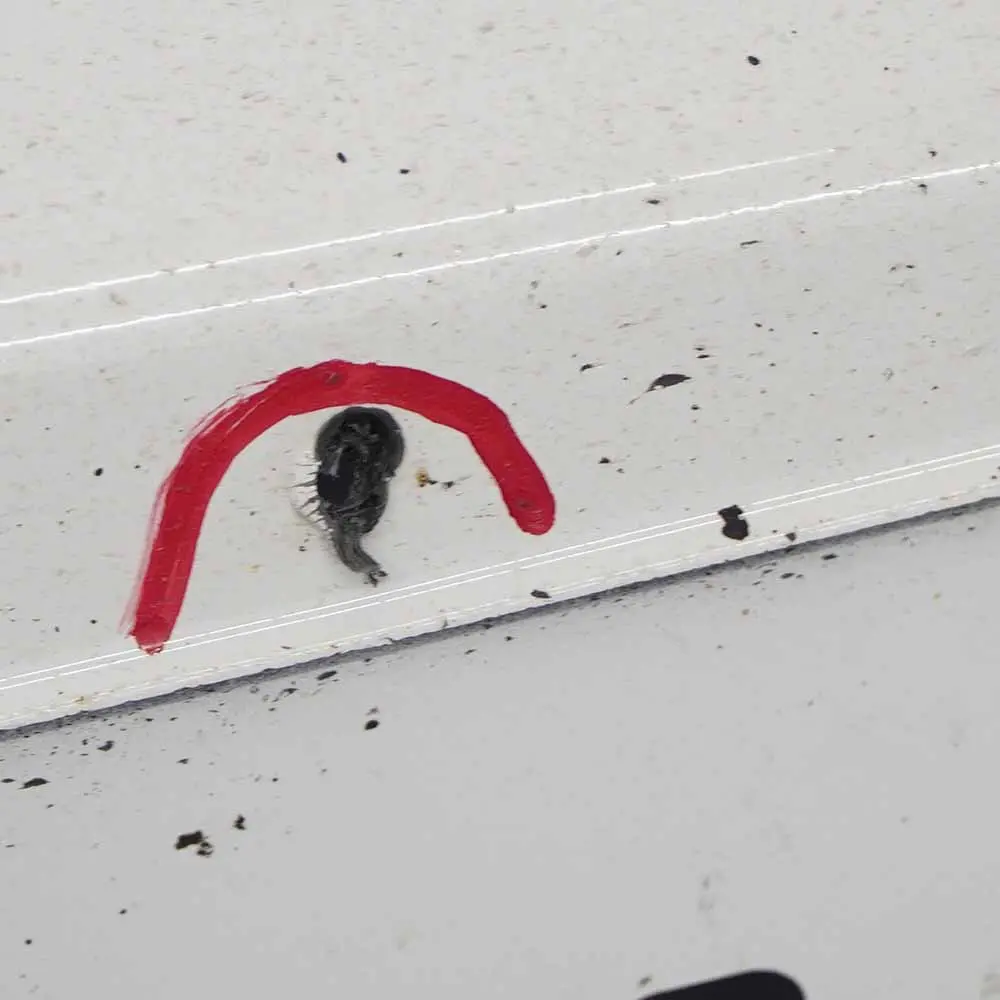 bande de recouvrement de seuil de porte droite blanc alpin - 300 pour BMW F20 M Sport à propos du numéro de pièce 8056816 BMW F20 M Sport bande de recouvrement de seuil de porte droite blanc alpin - 300 - SKU 8056816-AW - Numéro de pièce 8056816