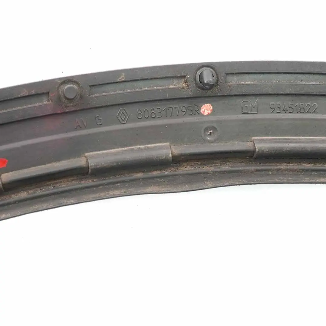 Renault Trafic 3 vordere Tür Dichtung links Fenster Dichtung Führung - SKU 808317795R - Teilenummer 808317795R