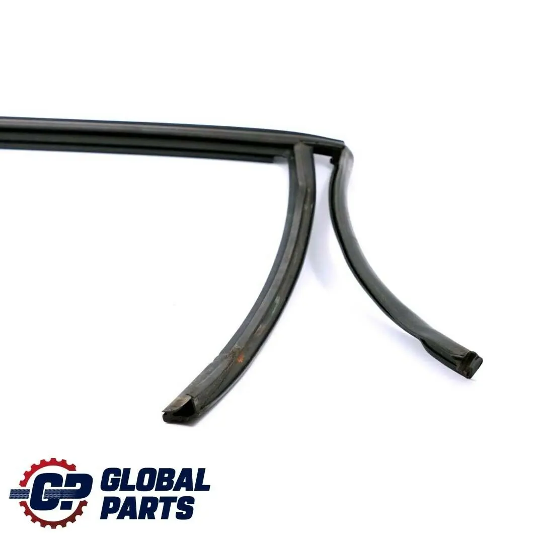 Trasera Derecha Puerta Ventana Canal Guia Junta para BMW E46 Touring con número de pieza 8194764 BMW E46 Touring Trasera Derecha Puerta Ventana Canal Guia Junta - SKU 8194764 - Número de pieza 8194764