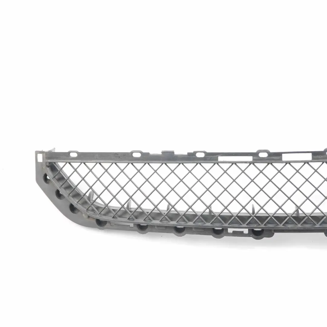 Front Bumper Grid BMW E46 Grille Centre Front Bumper Trim Panel to  with Part number 8204363  Front Bumper Grid BMW E46 Grille Centre Front Bumper Trim Panel - SKU 8204363 - Part number 8204363