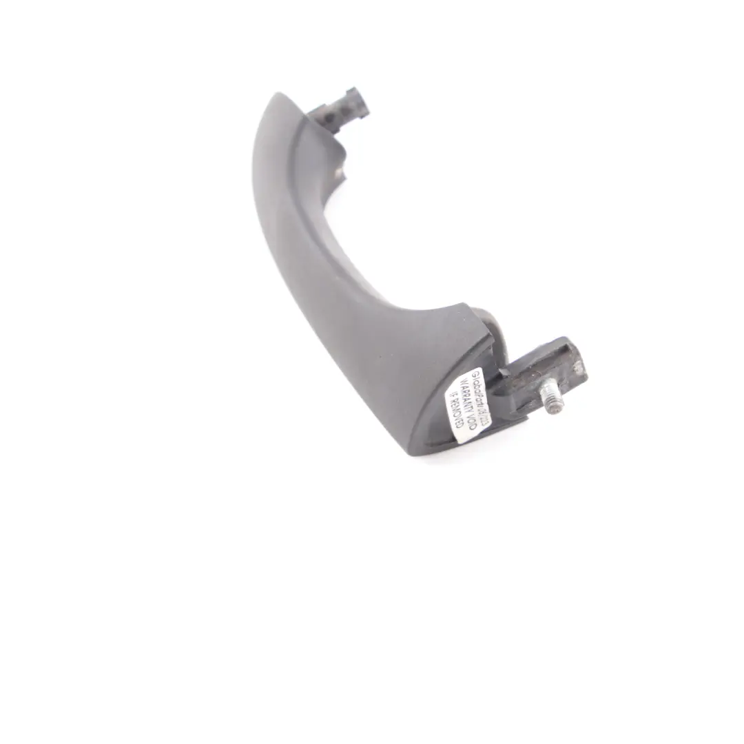 BMW X5 E53 Maniglia anteriore posteriore sinistra Coprimaniglia Pannello - SKU 8243617 - Numero di parte 8243617