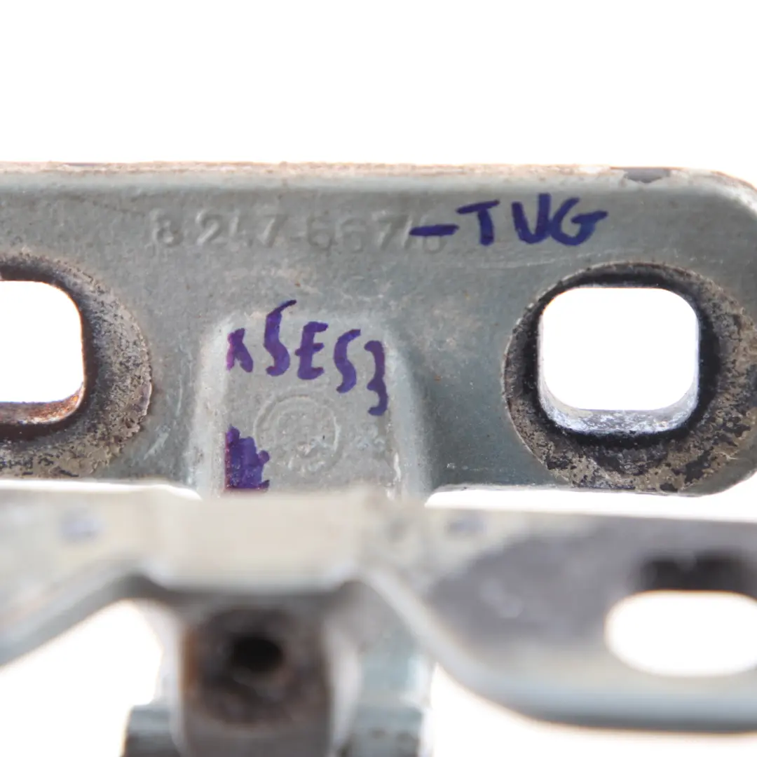 BMW X5 E53 Boot Hinge Trunk Lid Left Upper Hinge N/S Türkisgrau Turquoise Grey - SKU 8247667-TUG - Part number 7006121