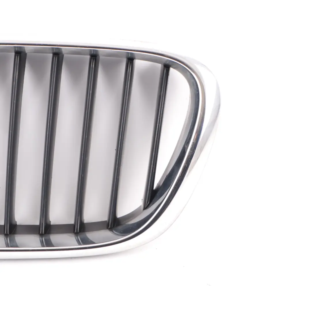 Front Left Grille N/S Trim Panel Cover Bumper Kidney Chrome to BMW X5 E53 with Part number 8250051 BMW X5 E53 Front Left Grille N/S Trim Panel Cover Bumper Kidney Chrome - SKU 8250051-3 - Part number 8250051