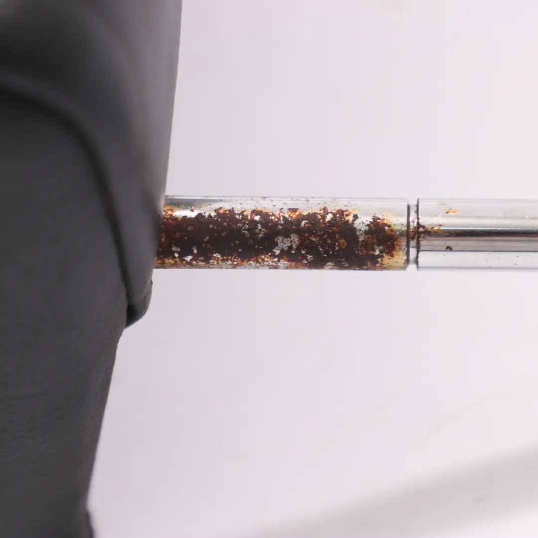 Asiento Trasero Izquierdo Derecho Reposacabezas Cuero Negro para BMW E46 Convertible con número de pieza 8255032 BMW E46 Convertible Asiento Trasero Izquierdo Derecho Reposacabezas Cuero Negro - SKU 8255032-1 - Número de pieza 8255032