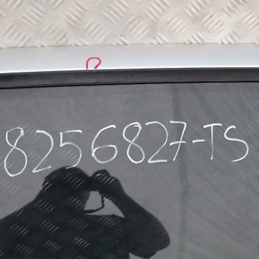 Drzwi lewy tył tylne lewe titansilber do BMW E53 X5 o numerze 8256827 BMW E53 X5 Drzwi lewy tył tylne lewe titansilber - SKU 8256827-TS - Numer Części 8256827