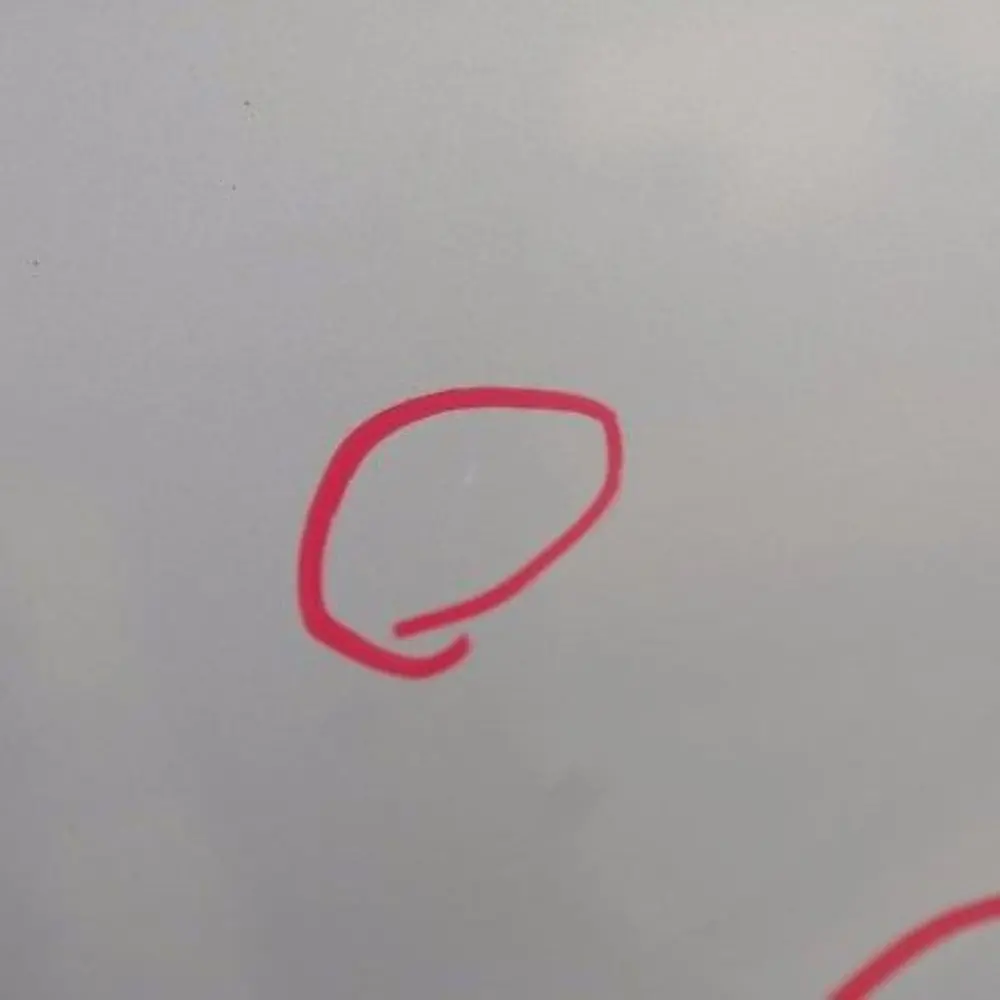 Lato Conducente Porta Posteriore Sinistra Argento-Titanio Titan per BMW X5 E53 con numero di parte 8256827 BMW X5 E53 Lato Conducente Porta Posteriore Sinistra Argento-Titanio Titan - SKU 8256827-TS - Numero di parte 8256827