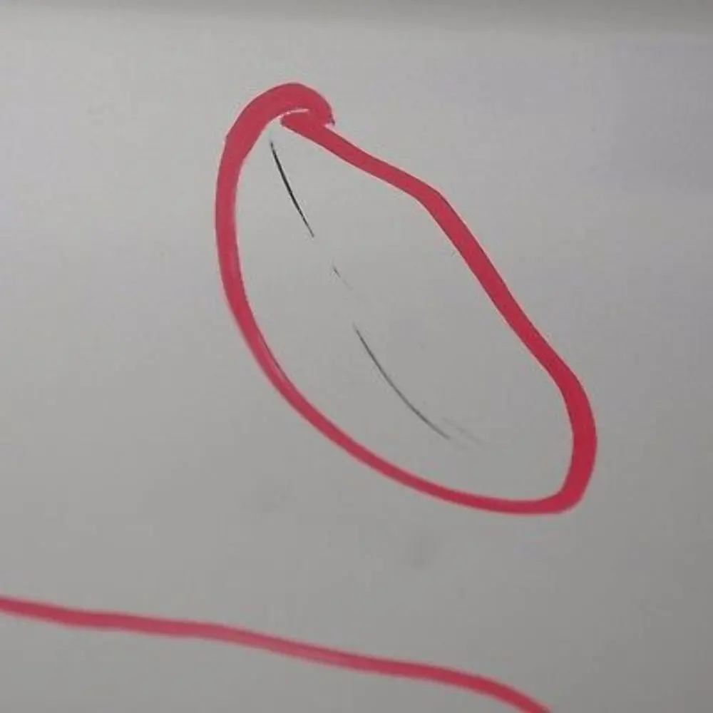 Fahrerseite Tür hinten links Titansilber Titan Silber Metallic für BMW X5 er 4 E53 mit Teilenummer 8256827 BMW X5 er 4 E53 Fahrerseite Tür hinten links Titansilber Titan Silber Metallic - SKU 8256827-TS4 - Teilenummer 8256827