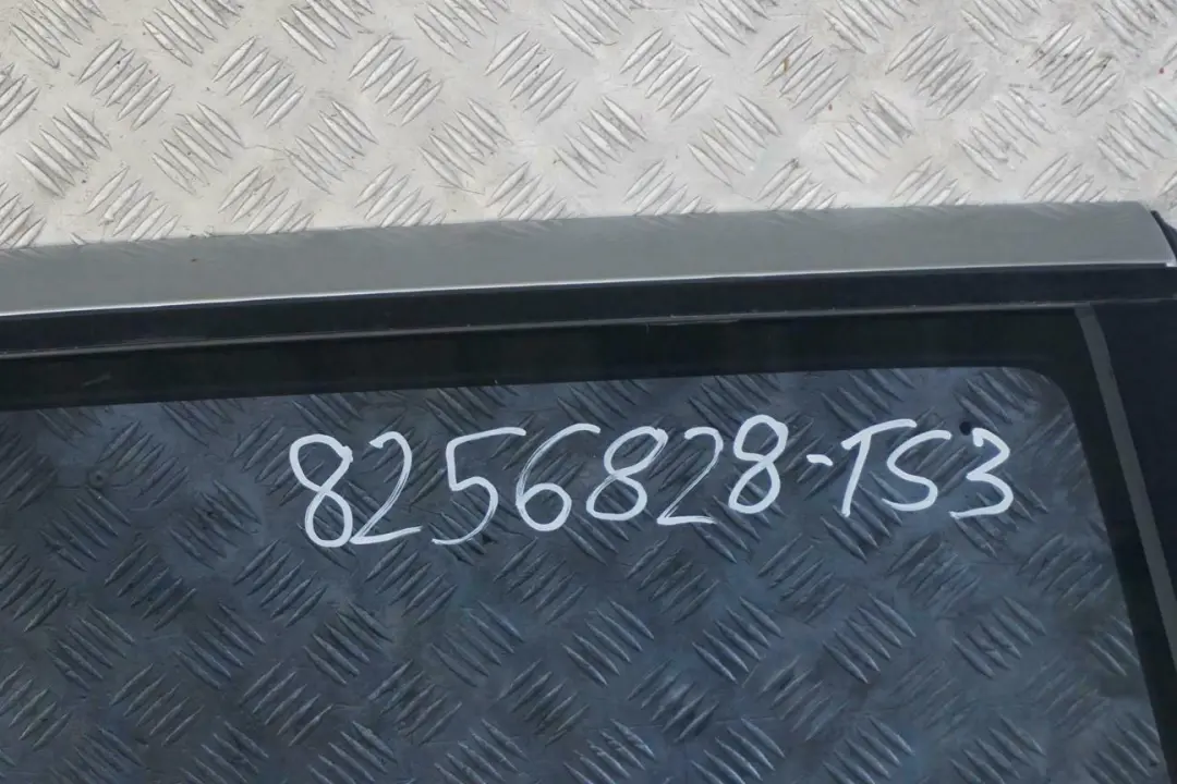 BMW E53 X5 Drzwi prawy tył tylne titansilber - SKU 8256828-TS3 - Numer Części 8256828