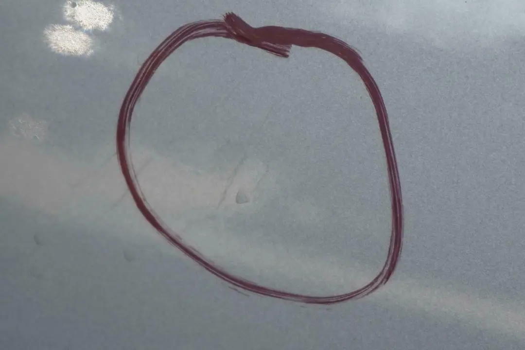 BMW E53 X5 Drzwi prawy tył tylne titansilber - SKU 8256828-TS3 - Numer Części 8256828