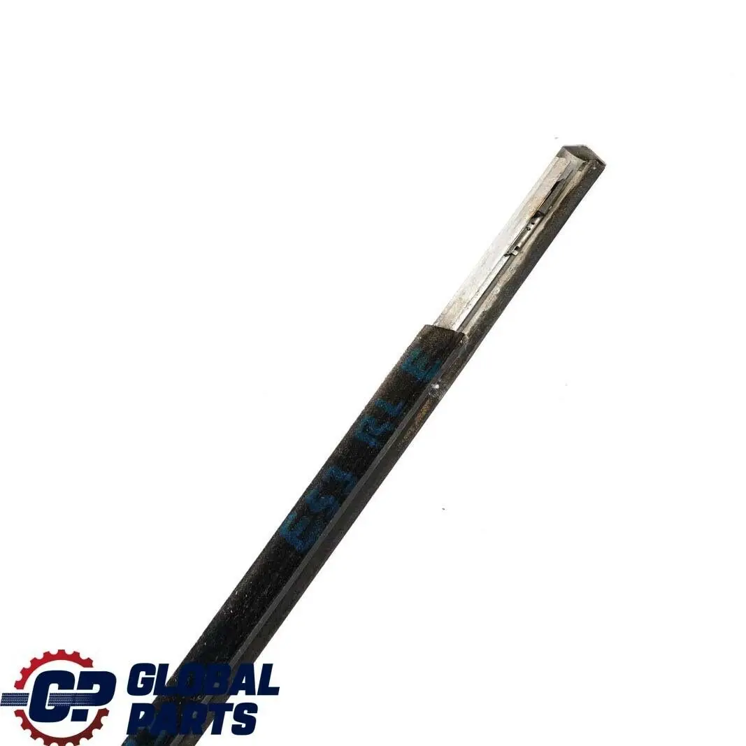 BMW X5 Reihe E53 Schachtabdeckung Aussen Hinten Links Titan 5134 - SKU 8257733 - Teilenummer 8257733