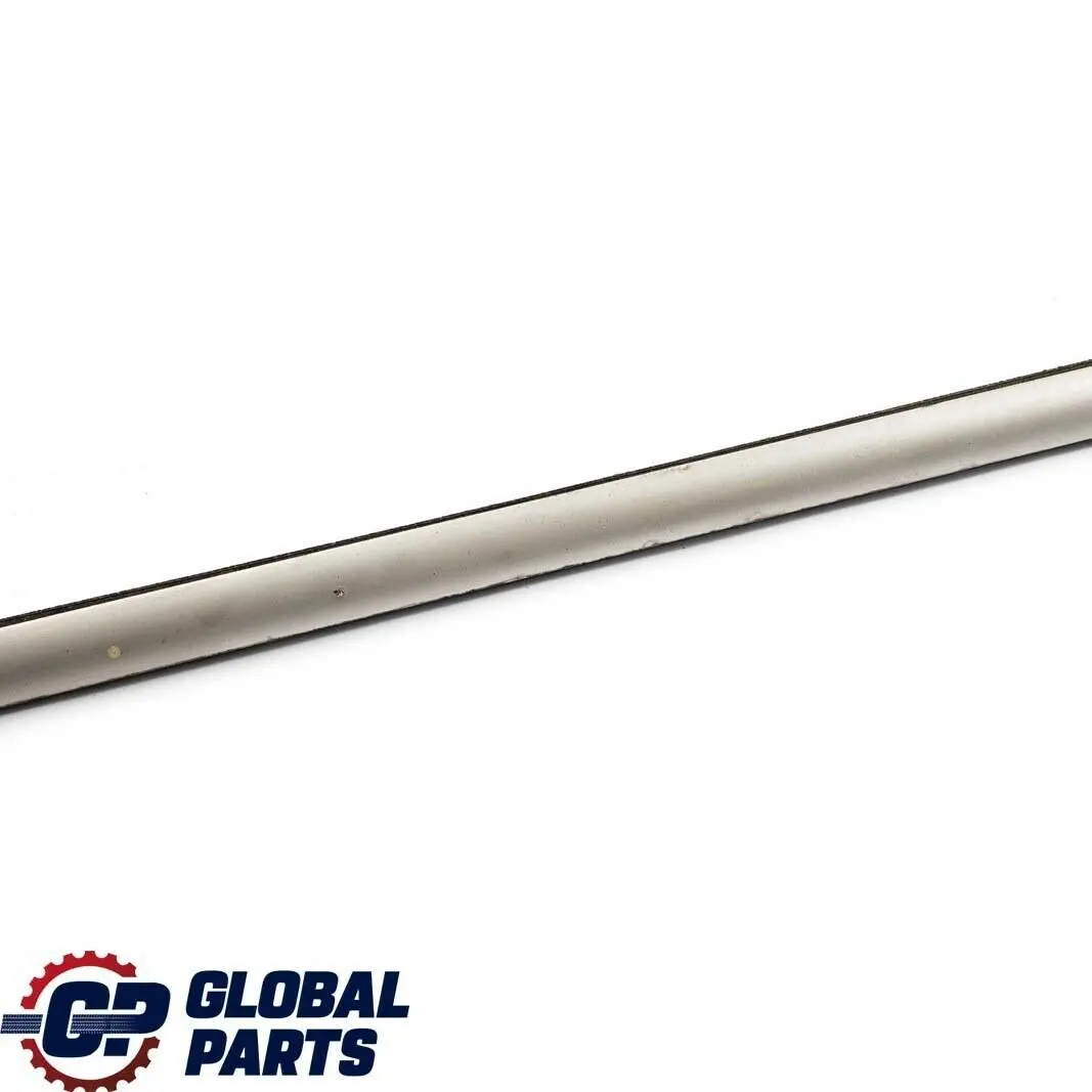 BMW X5 Series E53 Rear Left Door N/S Outer Weatherstrip Titan - SKU 8257733 - Part number 8257733