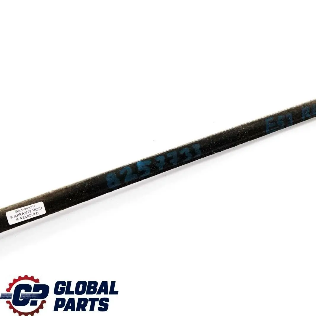 Left Door N/S Outer Weatherstrip Titan to BMW X5 Series E53 Rear with Part number 8257733 BMW X5 Series E53 Rear Left Door N/S Outer Weatherstrip Titan - SKU 8257733 - Part number 8257733