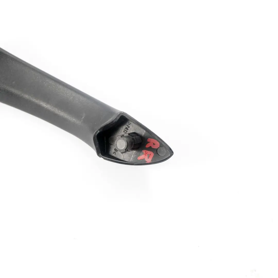 Poignee de porte avant, arriere et droite en cuir apprete pour BMW X5 E53 à propos du numéro de pièce 8257738 BMW X5 E53 Poignee de porte avant, arriere et droite en cuir apprete - SKU 8257738 - Numéro de pièce 8257738