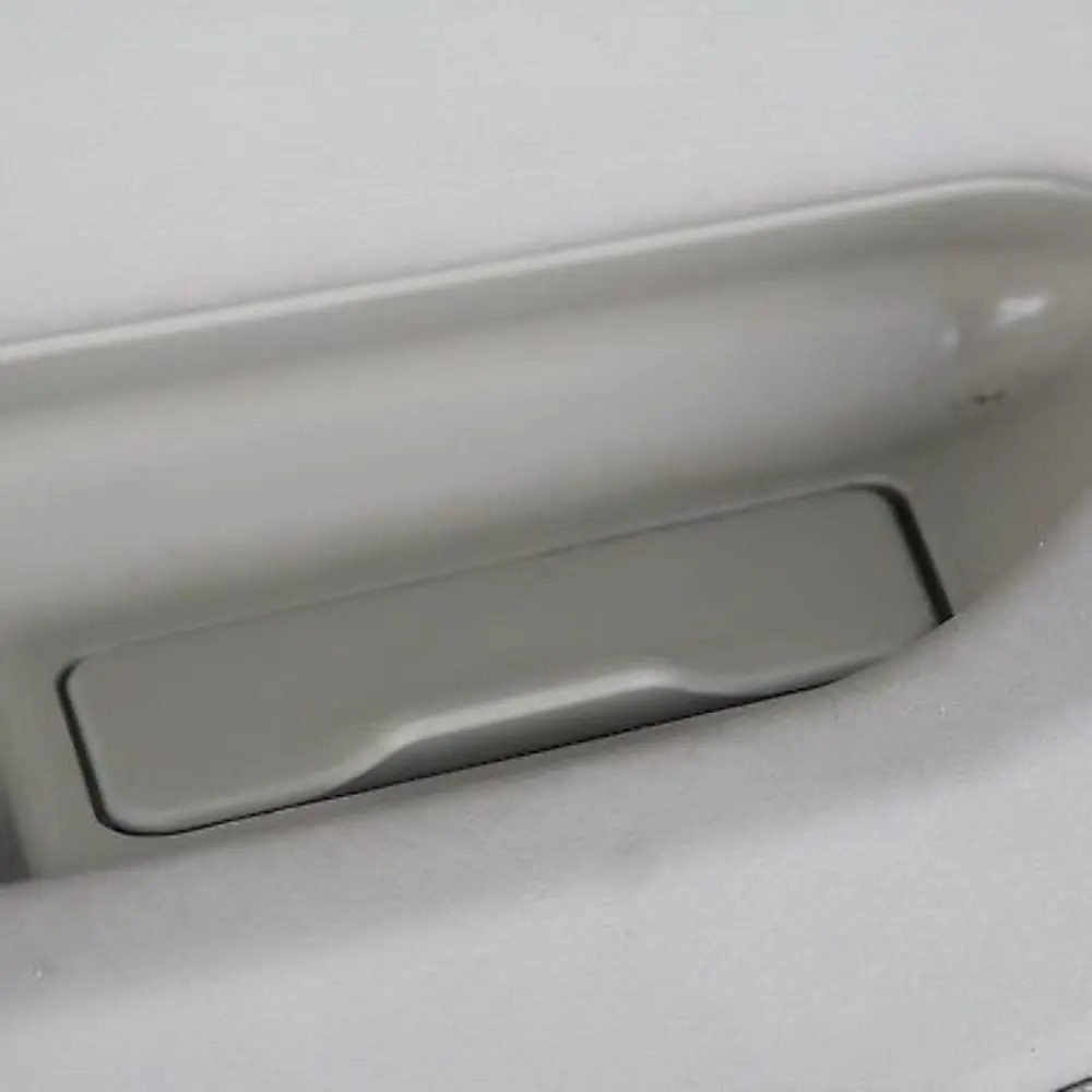 BMW X5 er E53 Türverkleidung hinten links Leder Pastellgrün - SKU 8264305 - Teilenummer 8264305