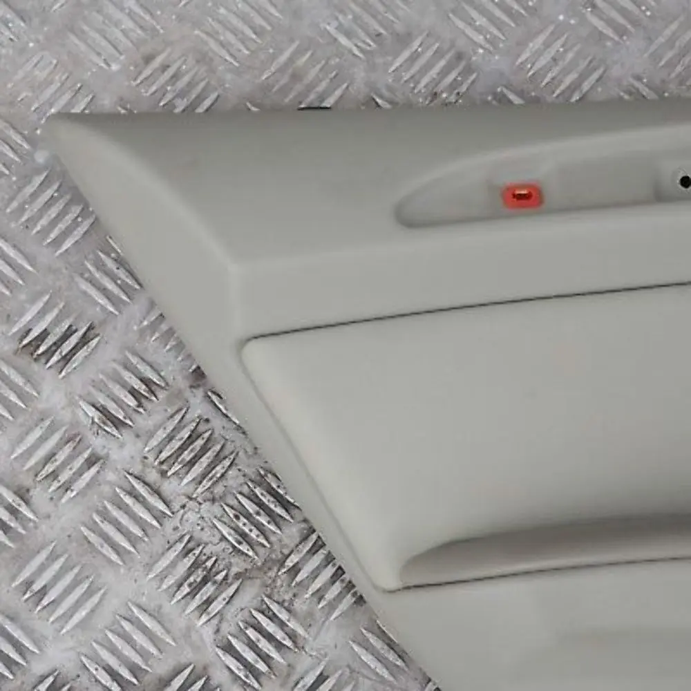 BMW X5 Series X E53 Door Card Trim Panel Pastel Green Leather Rear Left N/S - SKU 8264305 - Part number 8264305