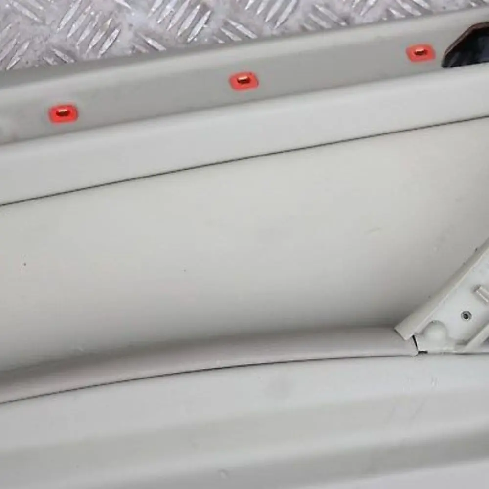 BMW X5 er E53 Türverkleidung hinten links Leder Pastellgrün - SKU 8264305 - Teilenummer 8264305