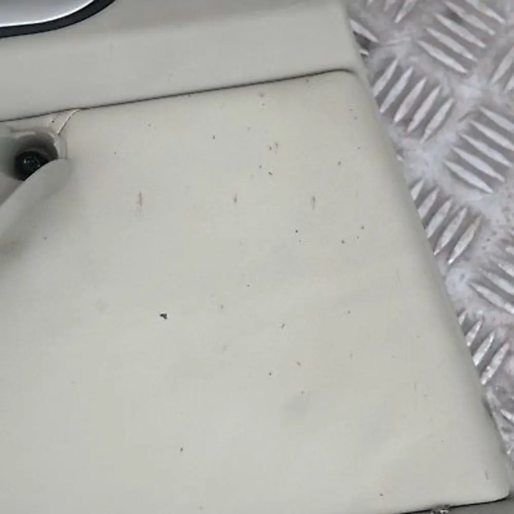 Door Card Trim Panel Pastel Green Leather Rear Left N/S to BMW X5 Series X E53 with Part number 8264305 BMW X5 Series X E53 Door Card Trim Panel Pastel Green Leather Rear Left N/S - SKU 8264305 - Part number 8264305