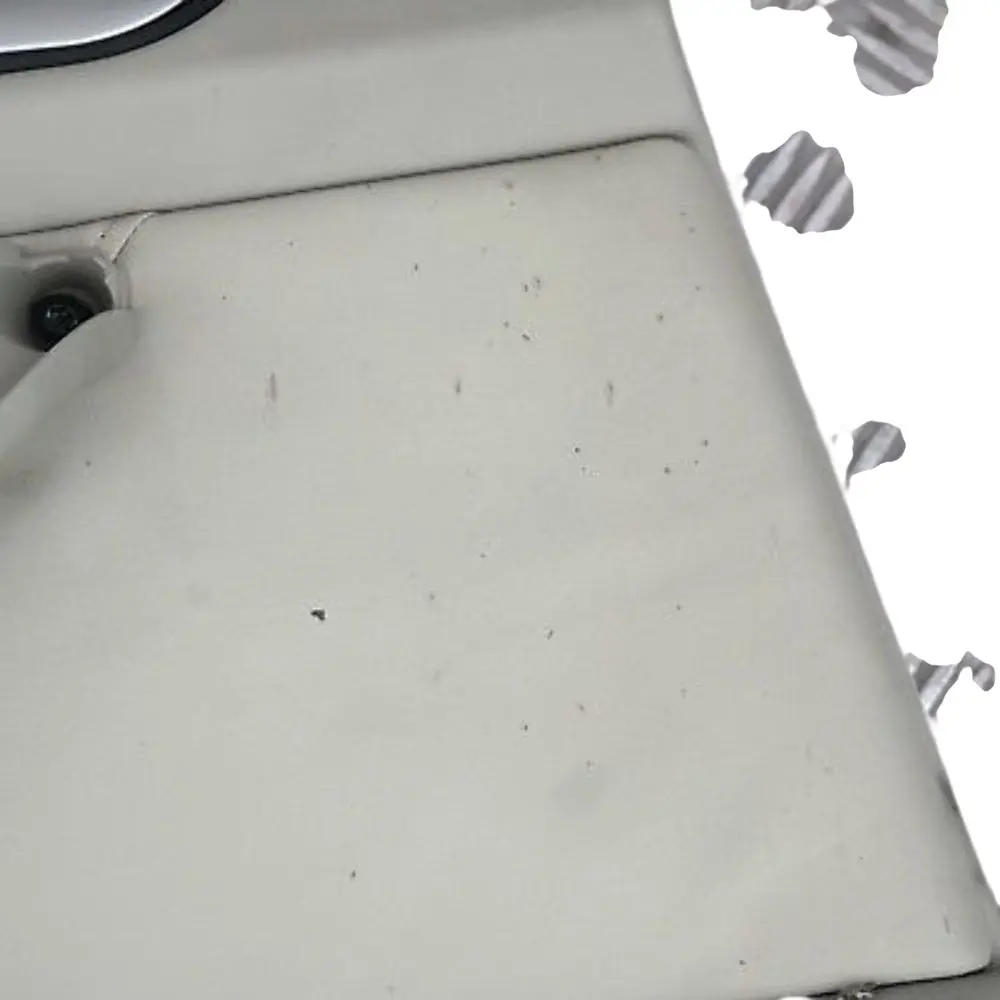 Panel Embellecedor Puerta Verde Pastel Cuero Trasero Izquierdo para BMW X5 E53 con número de pieza 8264305 BMW X5 E53 Panel Embellecedor Puerta Verde Pastel Cuero Trasero Izquierdo - SKU 8264305 - Número de pieza 8264305