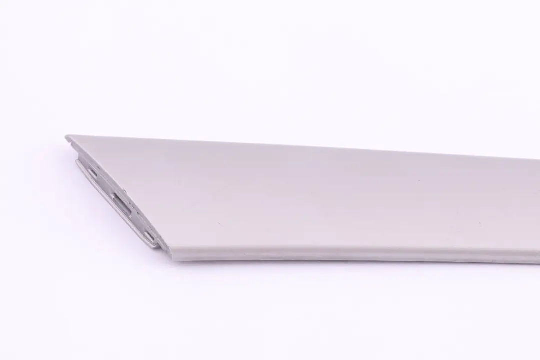 Reihe E53 Dekorleiste Tür vorne rechts TITAN 2 5141 für BMW X5 mit Teilenummer 8265484 BMW X5 Reihe E53 Dekorleiste Tür vorne rechts TITAN 2 5141 - SKU 8265484-1 - Teilenummer 8265484