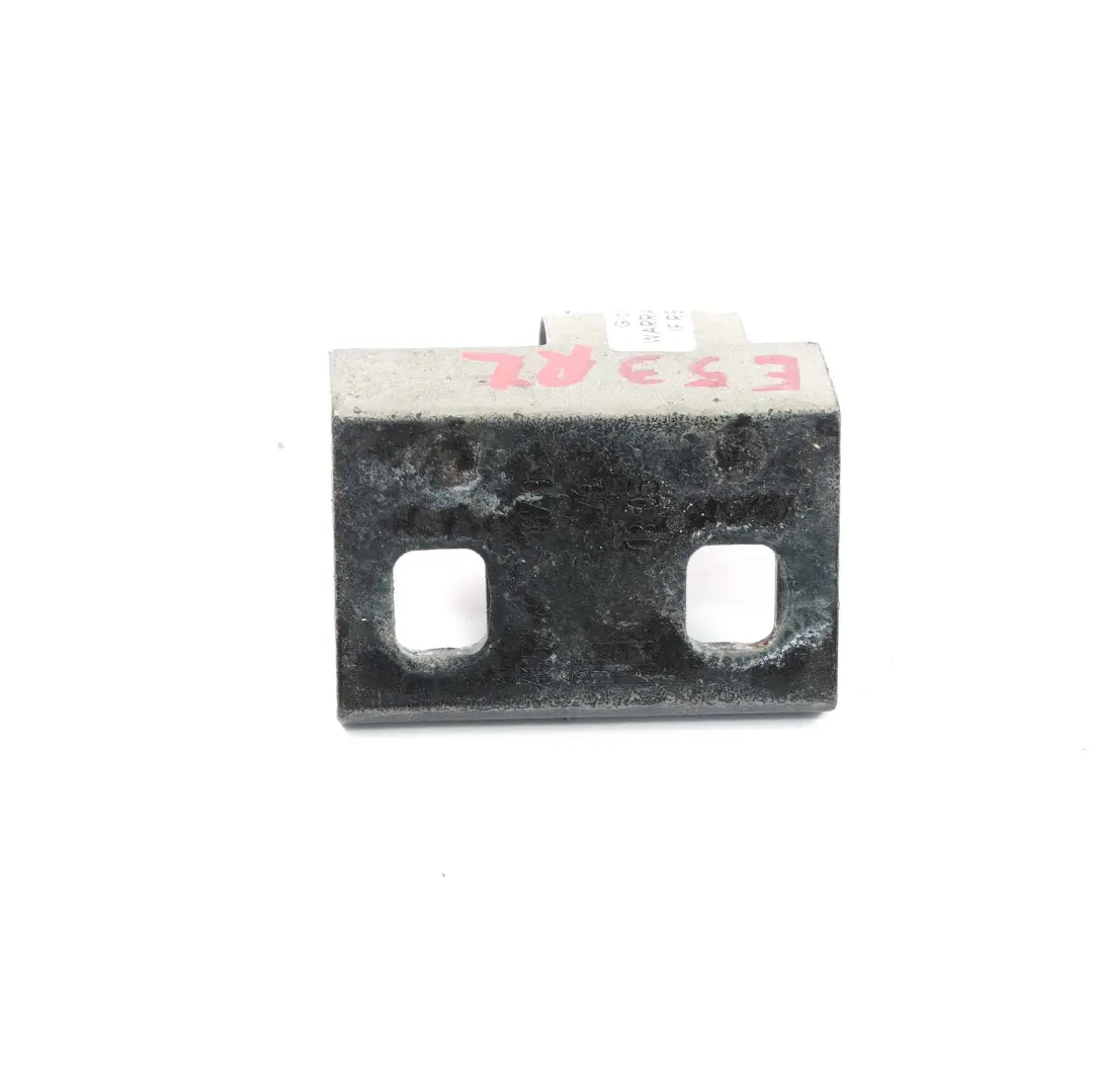 BMW X5 E53 Door Hinge Left N/S Rear Trunk Lower Bottom Grey - SKU 8269845-GREY - Part number 8269845