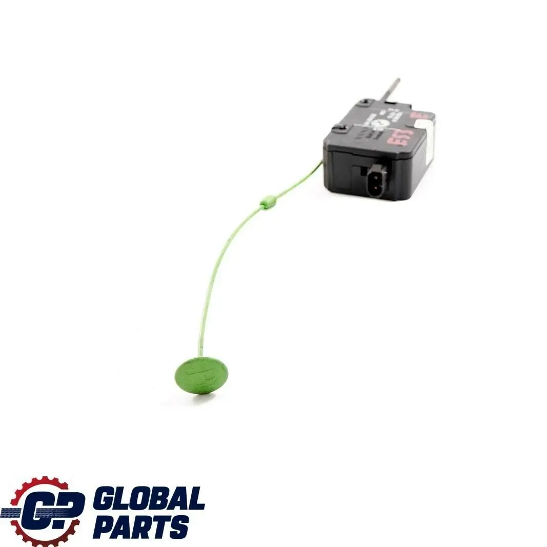 Actuateur, Panneau Laterale / Carenage Arriere pour BMW 5 X5 E53 à propos du numéro de pièce 51268355056 BMW 5 X5 E53 Actuateur, Panneau Laterale / Carenage Arriere - SKU 8355056 - Numéro de pièce 51268355056