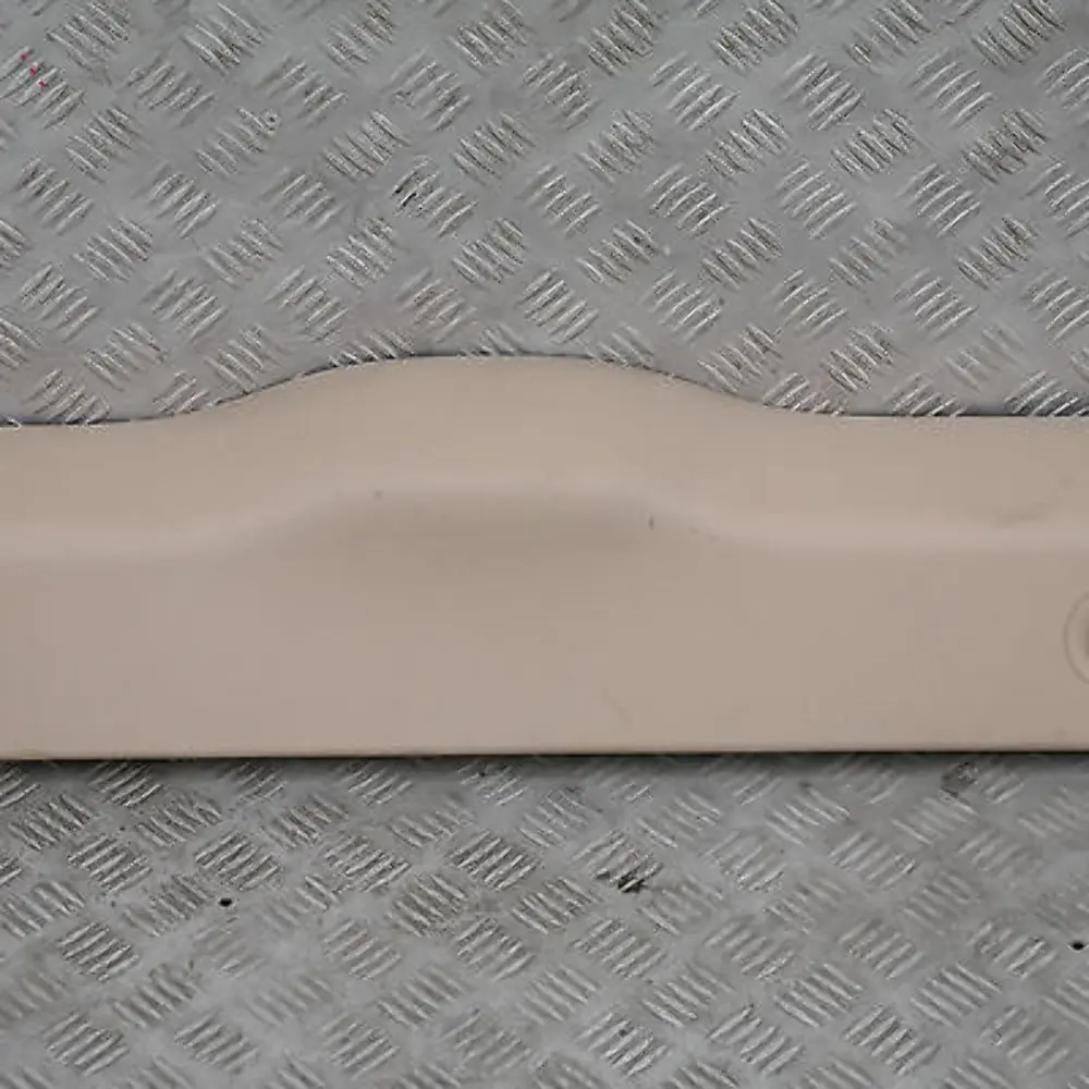 BMW X5 E53 Carenatura Portellone Centro Chiaro Beige 2 51498250112 8250112 - SKU 8402194 - Numero di parte 8402194