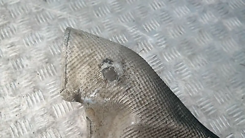 Heat insulation tunnel tank 5148 to BMW X5 SERIES E53 with Part number 51488402289 BMW X5 SERIES E53 Heat insulation tunnel tank 5148 - SKU 8402289 - Part number 51488402289