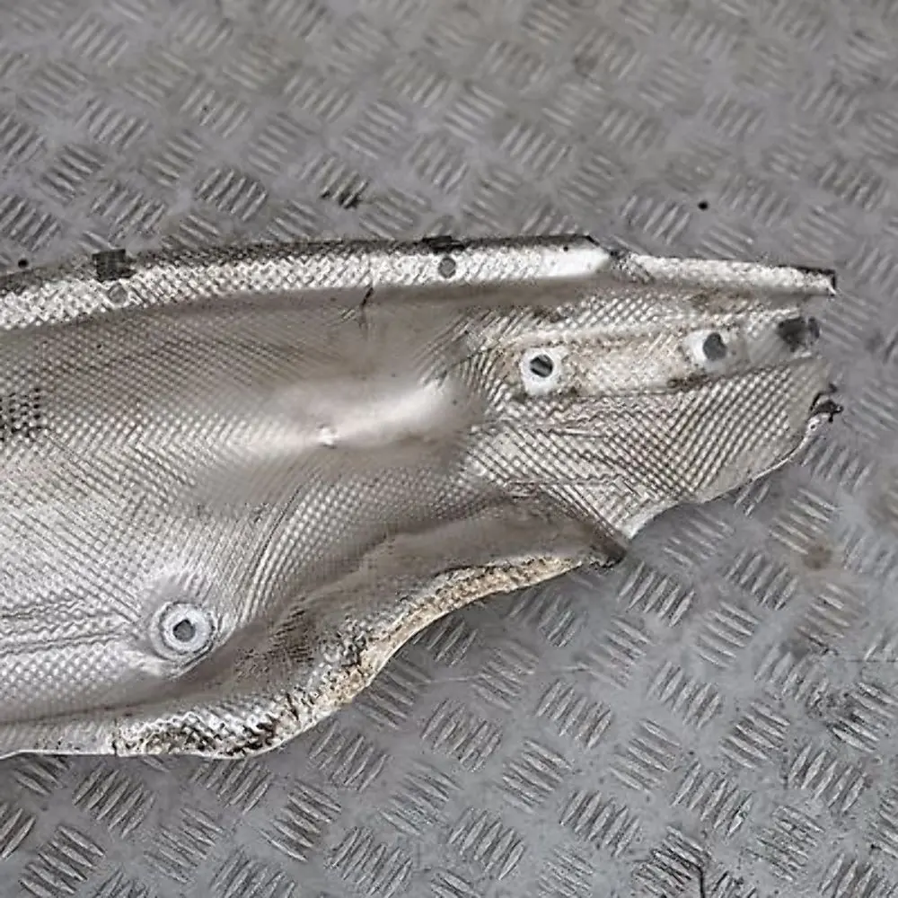 BMW X5 E53 4.4i 4.6is M62 Isolamento Termico Anteriore Sinistra - SKU 8402421 - Numero di parte 51488402421