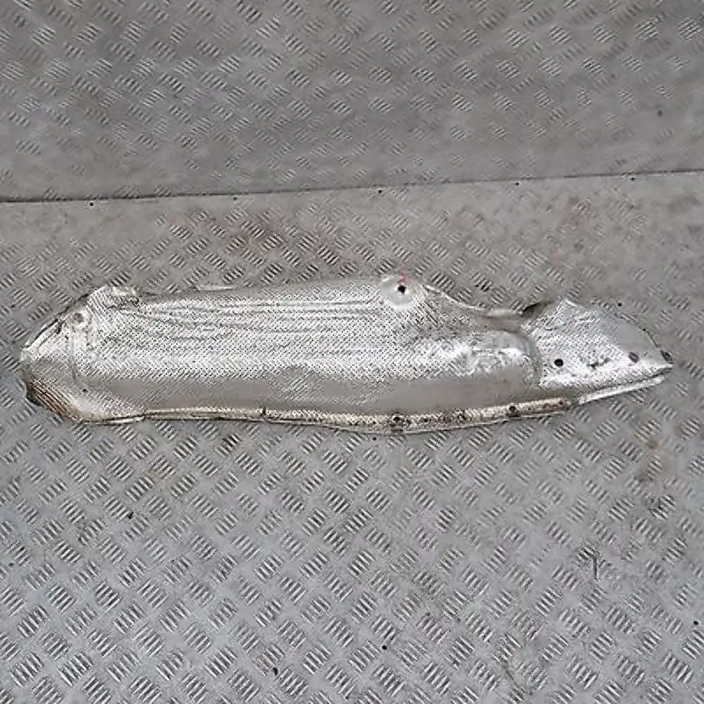 4.4i 4.6is M62 Isolamento Termico Anteriore Sinistra per BMW X5 E53 con numero di parte 51488402421 BMW X5 E53 4.4i 4.6is M62 Isolamento Termico Anteriore Sinistra - SKU 8402421 - Numero di parte 51488402421