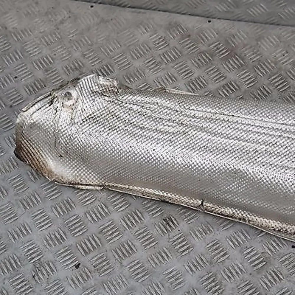 4.4i 4.6is M62 Cover Heat Insulation Front Left N/S to BMW X5 SERIES E53 with Part number 51488402421 BMW X5 SERIES E53 4.4i 4.6is M62 Cover Heat Insulation Front Left N/S - SKU 8402421 - Part number 51488402421