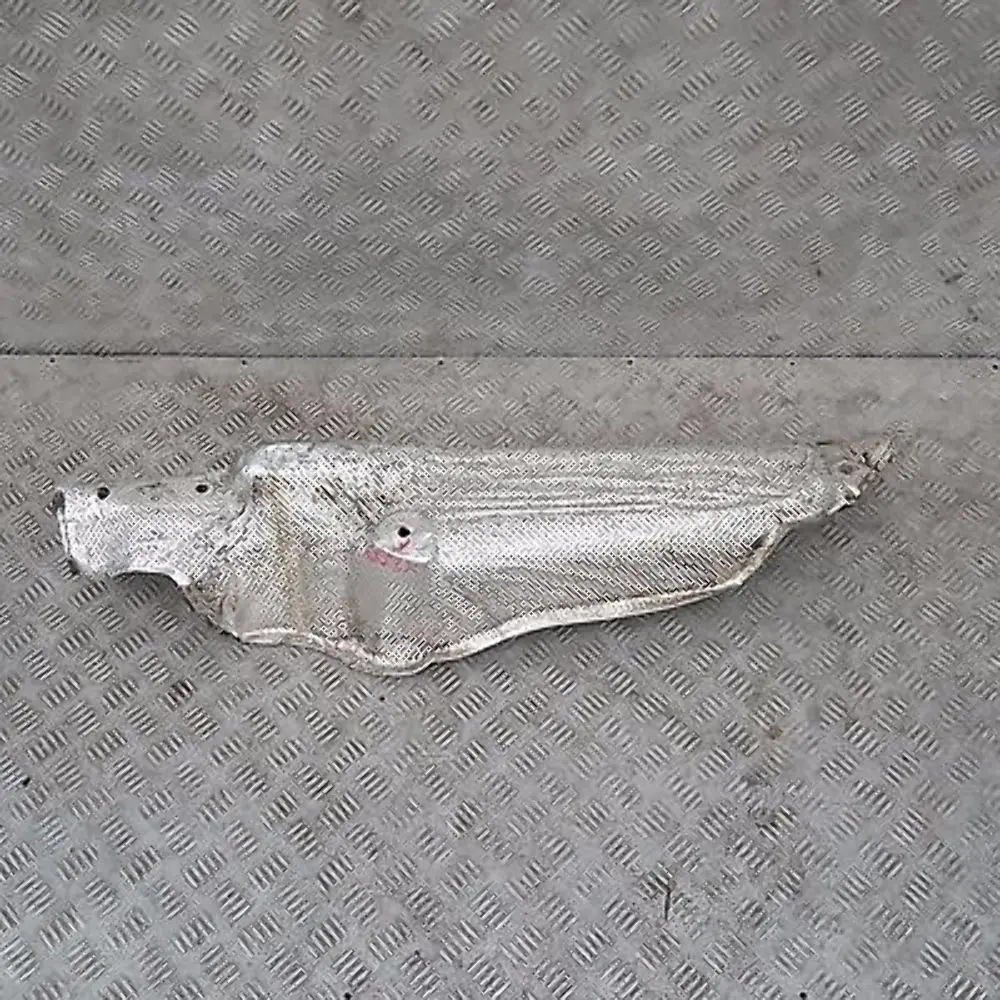 BMW X5 E53 4.4i 4.6is M62 Isolamento Termico Anteriore Sinistra - SKU 8402421 - Numero di parte 51488402421