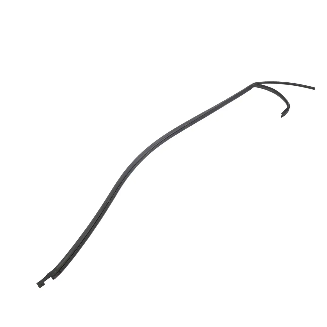 Seal Sealing Roof Moulding Frame Gasket Left N/S BMW X5 Series E53 - SKU 8402517 - Part number 8402517