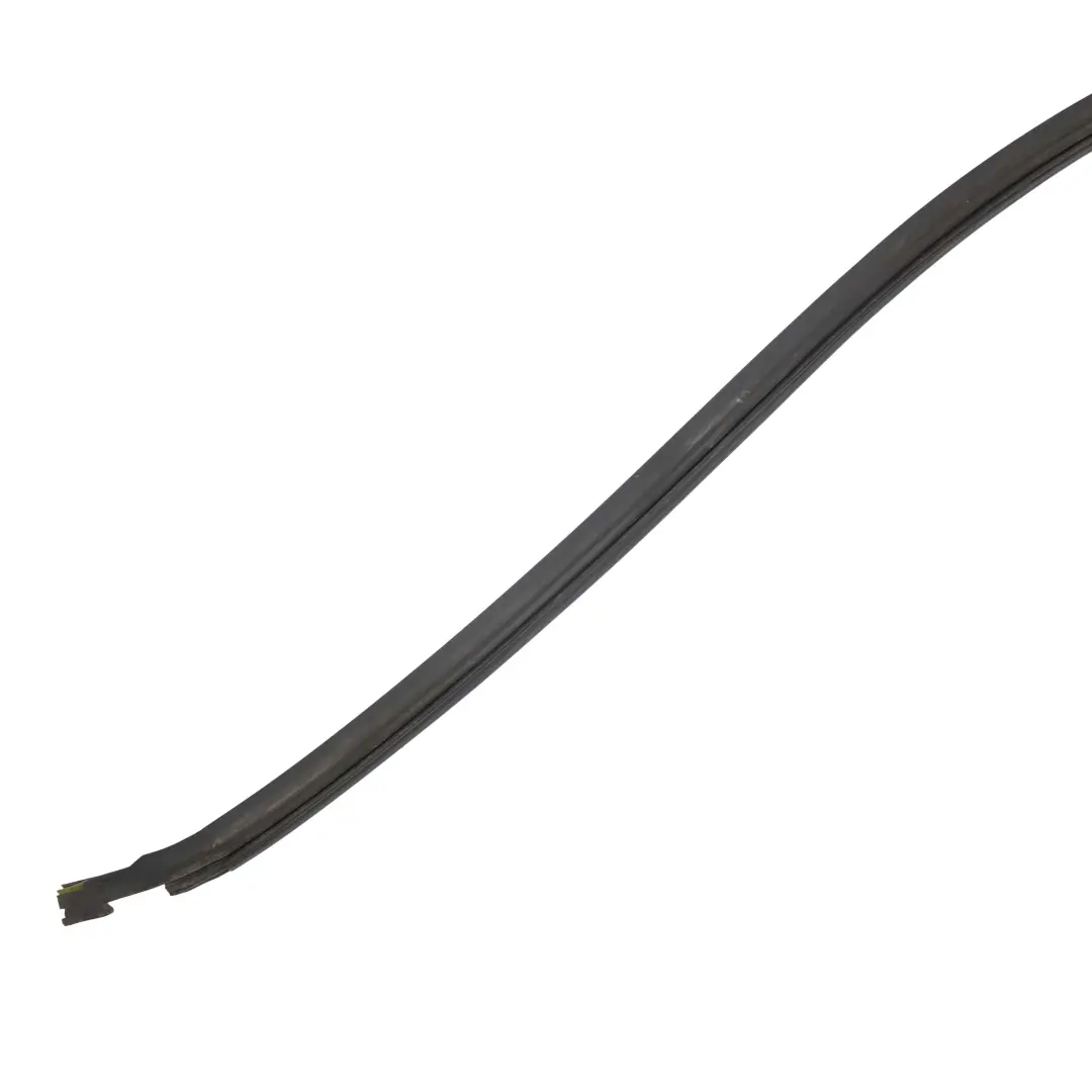 BMW X5 E53 Abdichtung Dachrahmen Dichtung Links - SKU 8402517 - Teilenummer 8402517