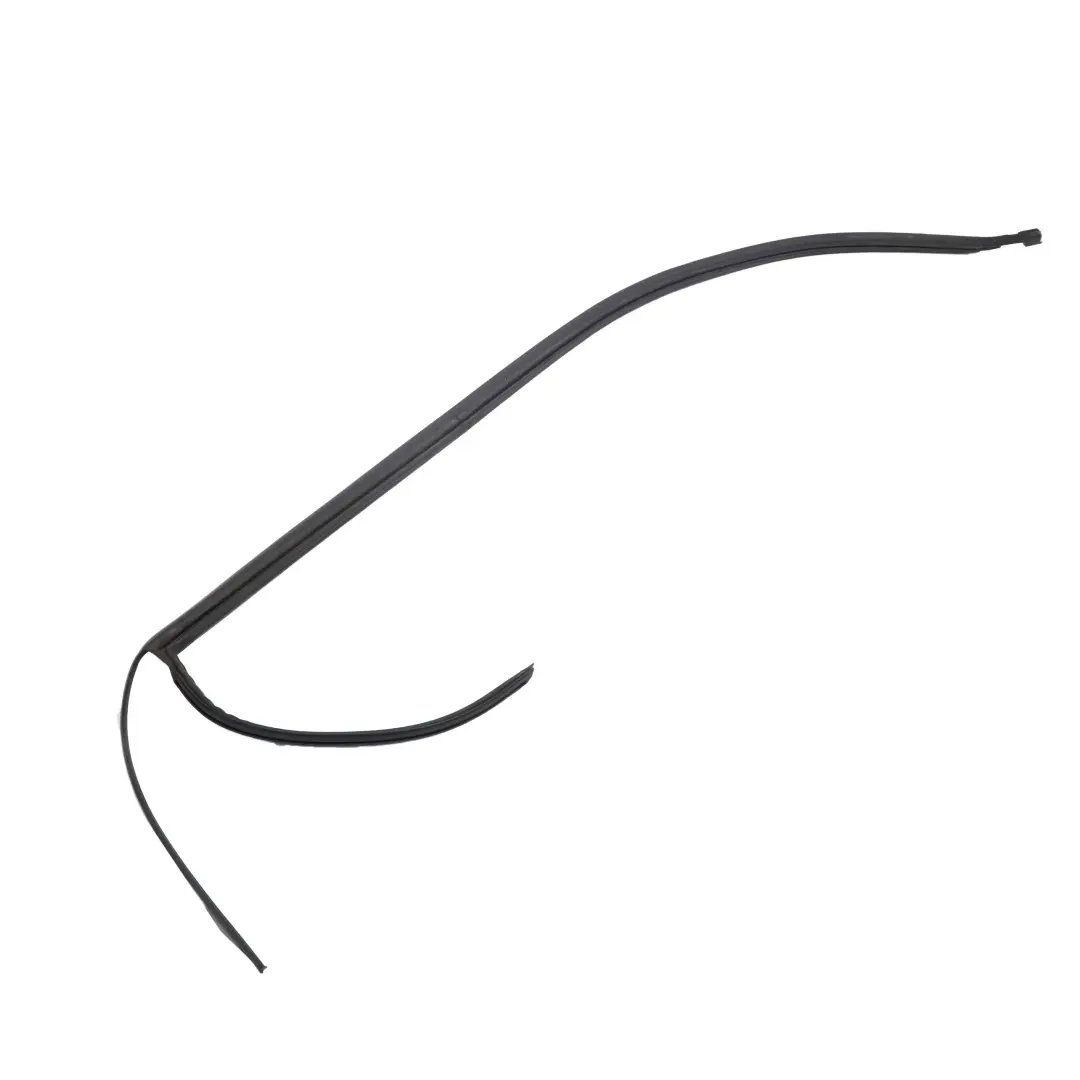 Sellado Techo Moldura Marco Junta Derecha para BMW E53 con número de pieza 8402518 BMW E53 Sellado Techo Moldura Marco Junta Derecha - SKU 8402518 - Número de pieza 8402518