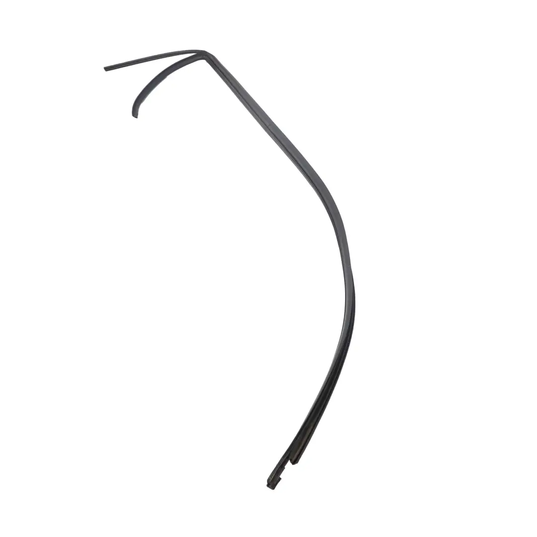 BMW X5 Series E53 Seal Sealing Roof Moulding Frame Gasket Right O/S - SKU 8402518 - Part number 8402518