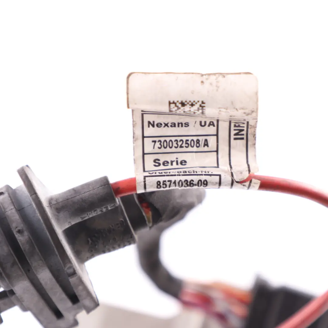 Wiring BMW F45 Harness Cable Supply Module Control Unit to Engine with Part number 8571036 Engine Wiring BMW F45 Harness Cable Supply Module Control Unit - SKU 8583683 - Part number 8571036