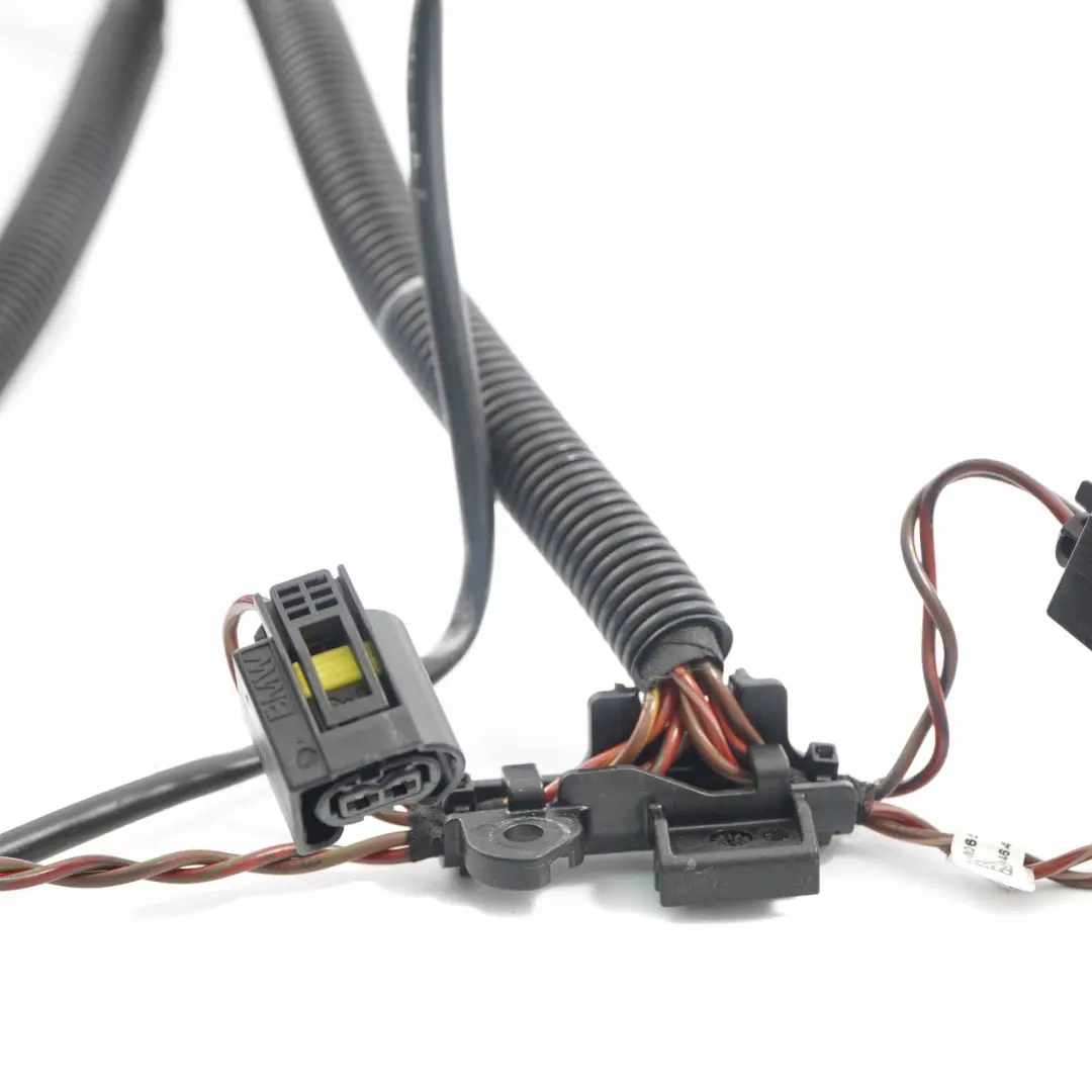  Câblage Moteur BMW F20 F21 F30 120dX 320dX N47N Faisceau CModule - SKU 8586168 - Numéro de pièce 8586168