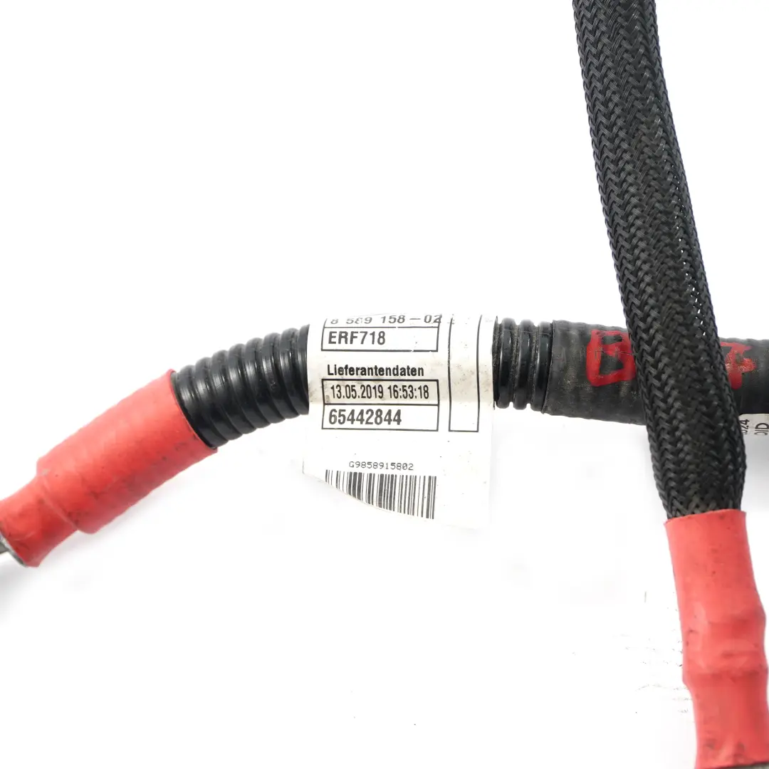 Batteriekabel BMW G01 G02 B47B B47D Lichtmaschine Basis B+ Blei für mit Teilenummer 8589158 Batteriekabel BMW G01 G02 B47B B47D Lichtmaschine Basis B+ Blei - SKU 8589158 - Teilenummer 8589158