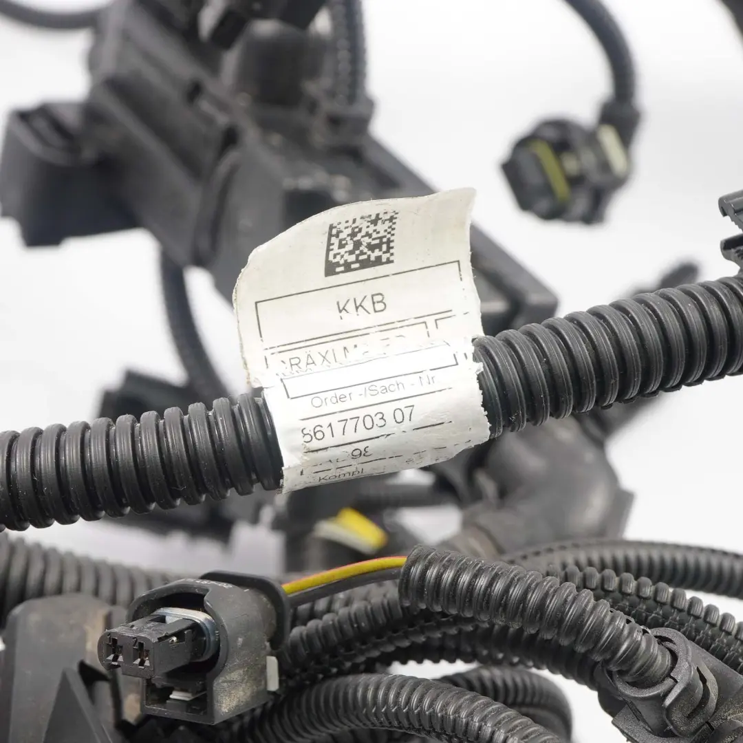 B46 B48 Valvetronic Cable Loom Harness pour Mini F56 Cooper S à propos du numéro de pièce 8617703 Mini F56 Cooper S B46 B48 Valvetronic Cable Loom Harness - SKU 8617703 - Numéro de pièce 8617703