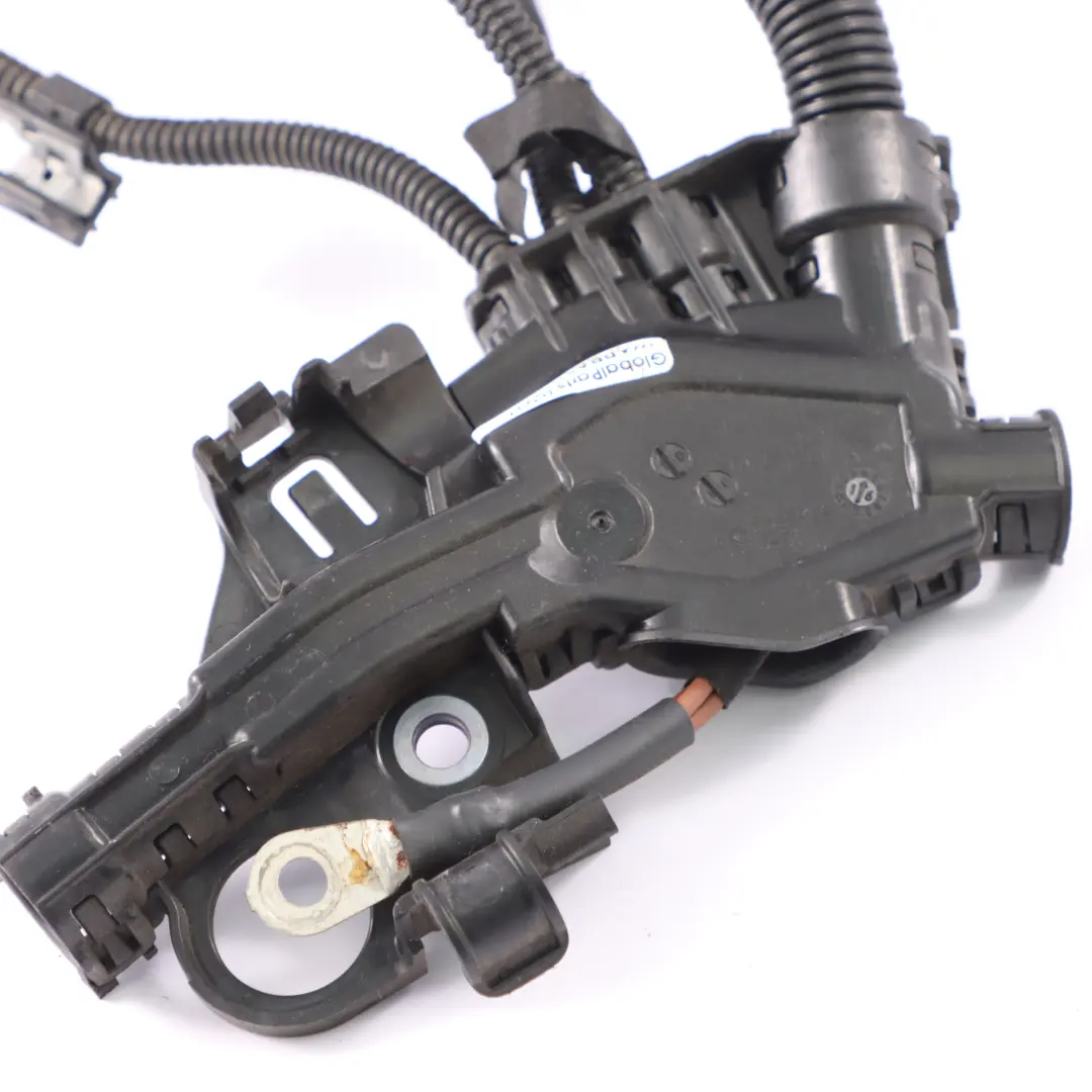 Cablaggio Motore BMW F20 120i F30 320i 330i LCI B48 Cavo Telaio per con numero di parte 8636068 Cablaggio Motore BMW F20 120i F30 320i 330i LCI B48 Cavo Telaio - SKU 8636068 - Numero di parte 8636068