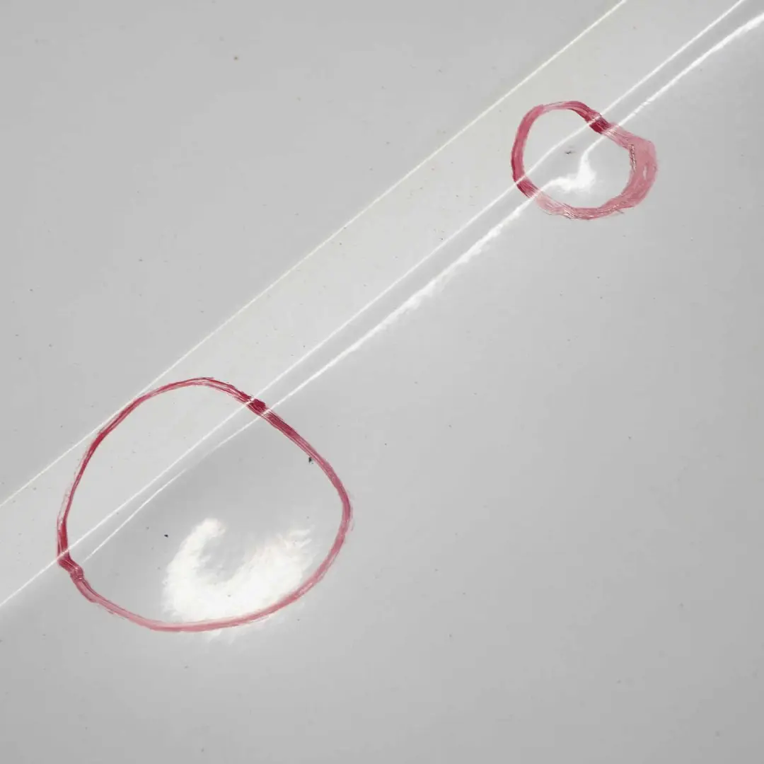 Jumper Fiat Ducato Drzwi Tylne Lewe EWP do Citroën o numerze 8702F8 Citroën Jumper Fiat Ducato Drzwi Tylne Lewe EWP - SKU 8702F8-BW - Numer Części 8702F8