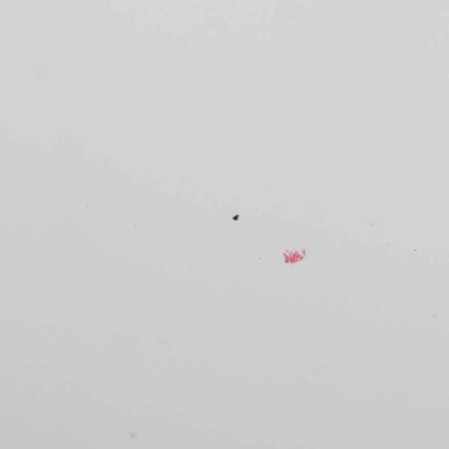 Peugeot Partner Rear Door Right O/S Boot Trunk Lid Tailgate Banquise White - EWP - SKU 8703E3-BW - Part number 8703E3