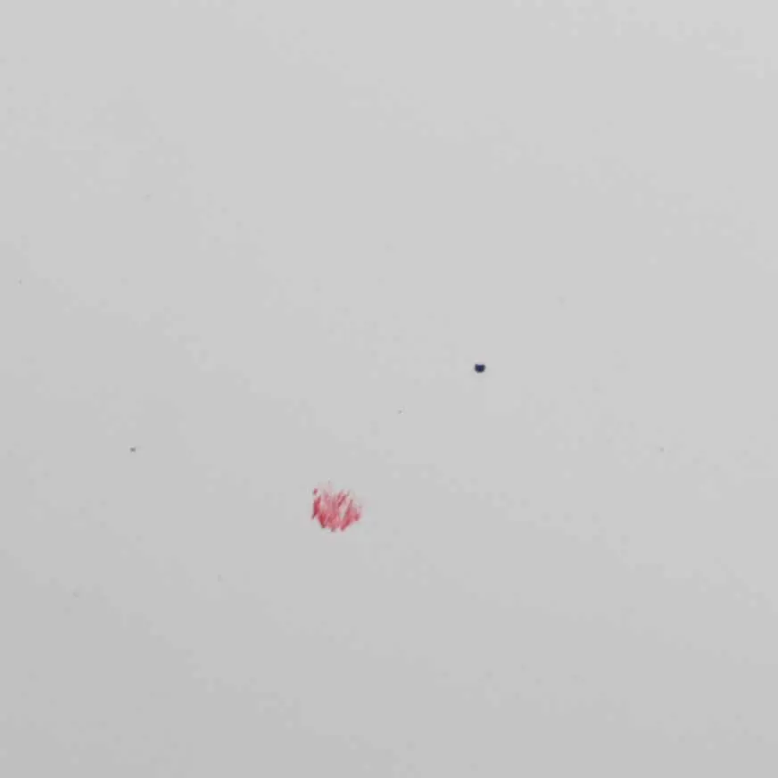 Puerta Trasera Derecha Tapa Maletero Banquise Blanco - EWP para Peugeot Partner con número de pieza 8703E3 Peugeot Partner Puerta Trasera Derecha Tapa Maletero Banquise Blanco - EWP - SKU 8703E3-BW - Número de pieza 8703E3