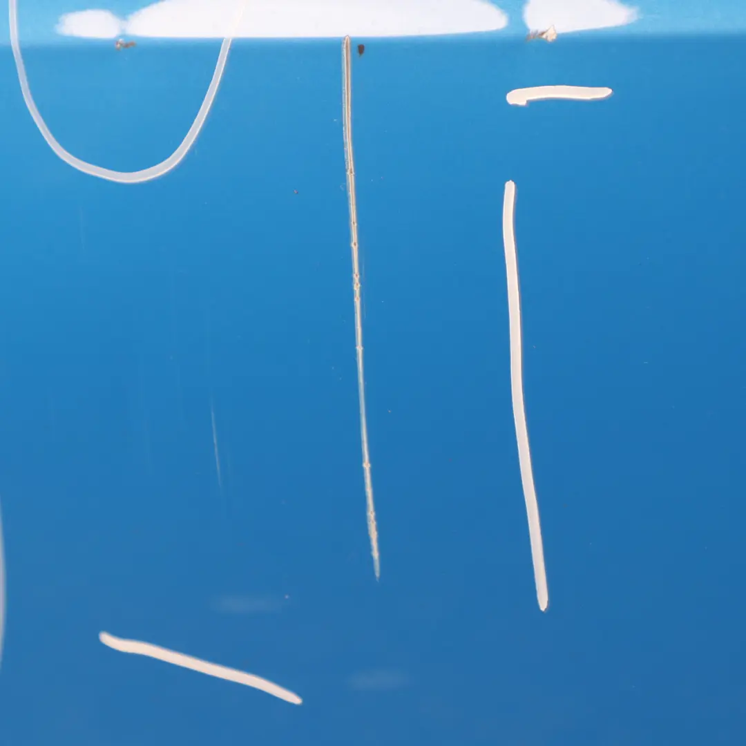 Front Left Door N/S Misano Blue Metallic - C1D to BMW F40 with Part number 8737059 BMW F40 Front Left Door N/S Misano Blue Metallic - C1D - SKU 8737059-MISA - Part number 8737059