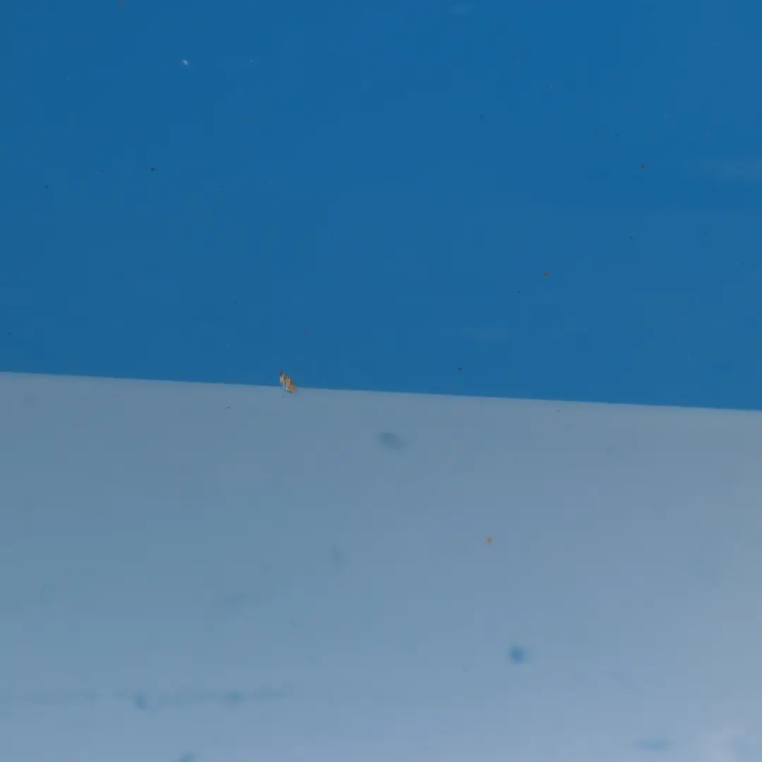 Right Door O/S Misano Blue Metallic - C1D to BMW F40 Rear with Part number 8737064 BMW F40 Rear Right Door O/S Misano Blue Metallic - C1D - SKU 8737064-MISA - Part number 8737064