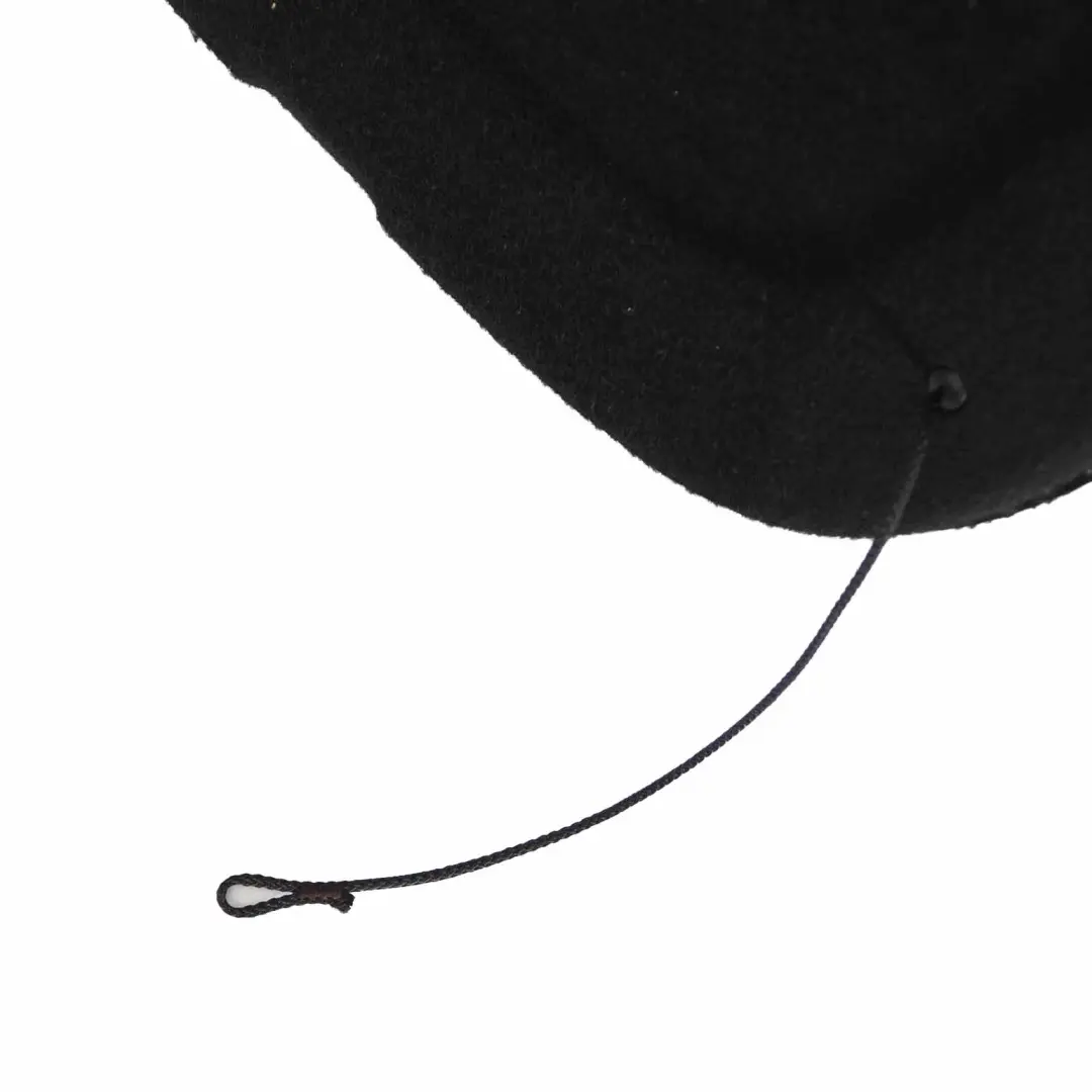 Cache Colis Fenêtre Arrière Coffre Coffre Chargement Noir pour Peugeot 207 à propos du numéro de pièce 8794 RX Peugeot 207 Cache Colis Fenêtre Arrière Coffre Coffre Chargement Noir - SKU 8794RX - Numéro de pièce 8794 RX